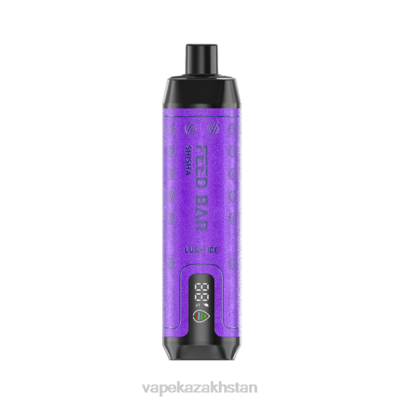 Disposable Vape Kazakhstan PTNN120 Vapsolo SHISHA Disposable Vape Lush Ice