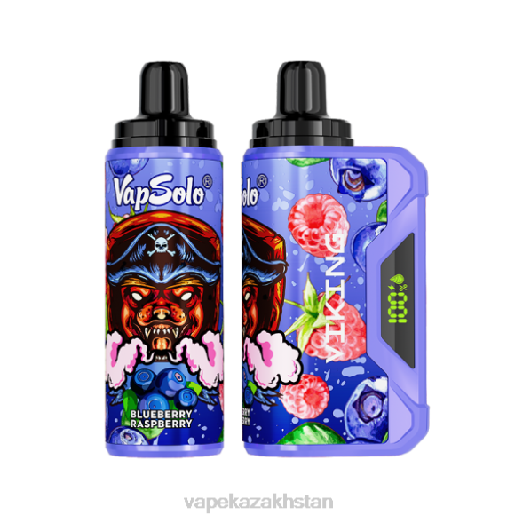 Disposable Vape Kazakhstan PTNN150 Vapsolo VIKING Disposable Vape Blueberry Raspberry