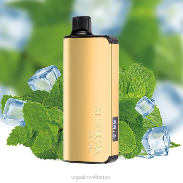 Disposable Vape Kazakhstan PTNN35 Alibarbar Ingot 20000 Disposable Vape Cool Mint