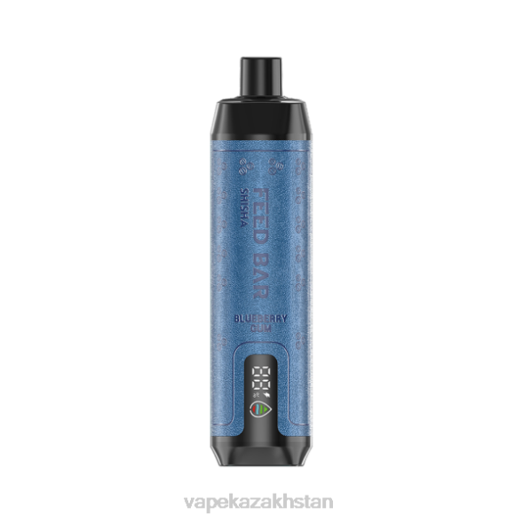 Vape Kazakhstan PTNN116 Vapsolo SHISHA Disposable Vape Blueberry Gum