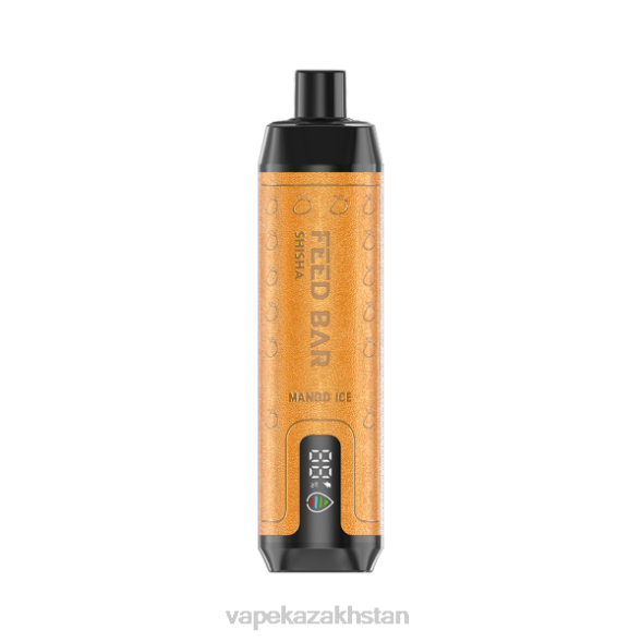 Vape Kazakhstan PTNN121 Vapsolo SHISHA Disposable Vape Mango Ice
