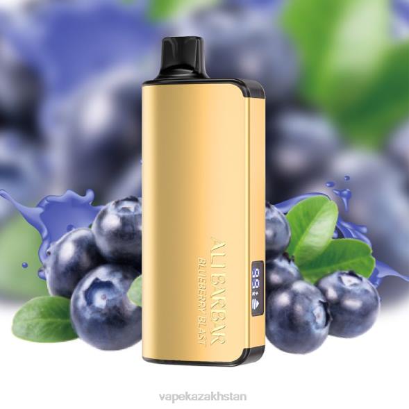 Vape Kazakhstan PTNN31 Alibarbar Ingot 20000 Disposable Vape Blueberry Blast