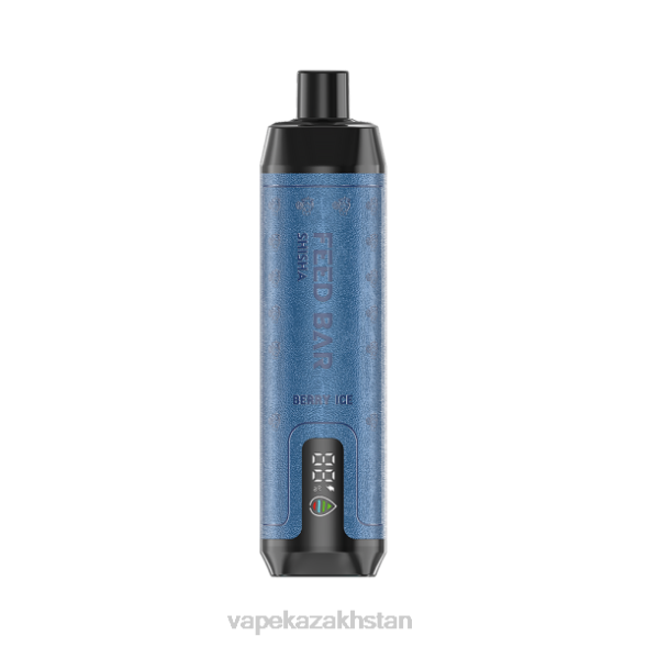 Vape Shop Astana PTNN113 Vapsolo SHISHA Disposable Vape Berry Ice