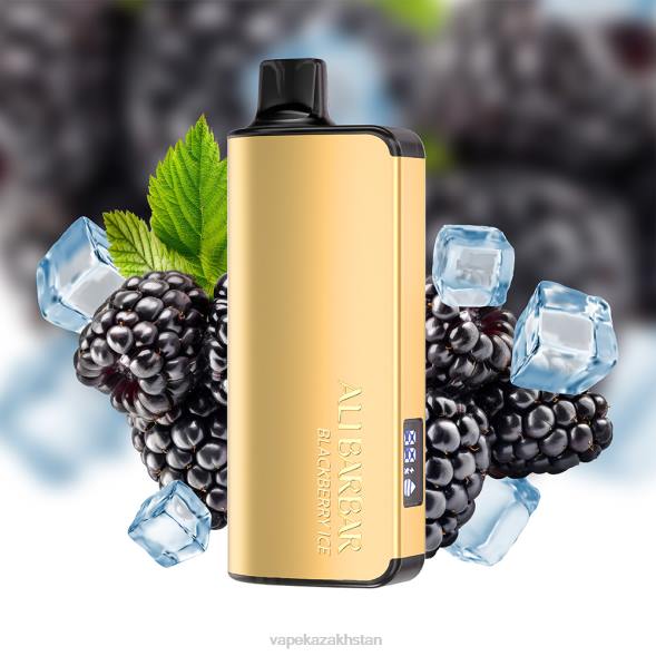 Disposable Vape Kazakhstan PTNN30 Alibarbar Ingot 9000 Disposable Vape Blackberry Ice