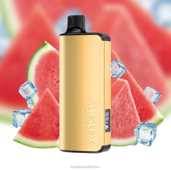 Vape Kazakhstan PTNN26 Alibarbar Ingot 9000 Disposable Vape Watermelon Ice