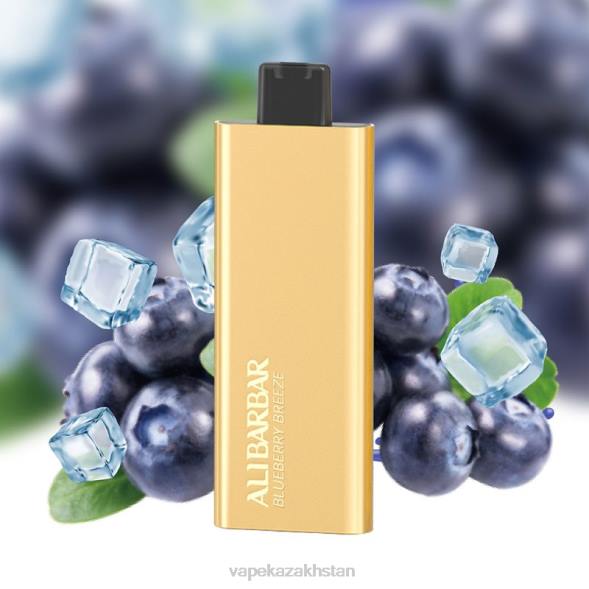 Vape Kazakhstan PTNN51 Alibarbar Pandora 7000 Disposable Vape Blueberry Breeze