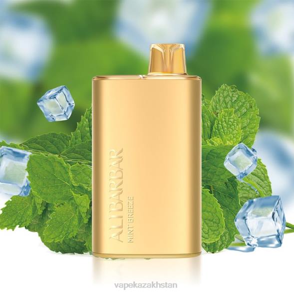 Vape Shop Astana PTNN8 Alibarbar Rich 8000 Disposable Vape Mint Breeze