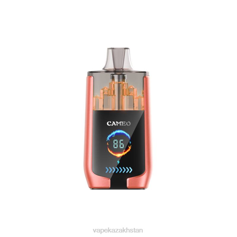 E-Liquid Vape B2TP24 LAVIE CAMEO 30000 Puffs Strawberry Watermelon