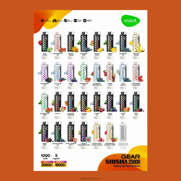 Vape Kazakhstan Z6D2L1 VOZOL Gear Shisha 25000