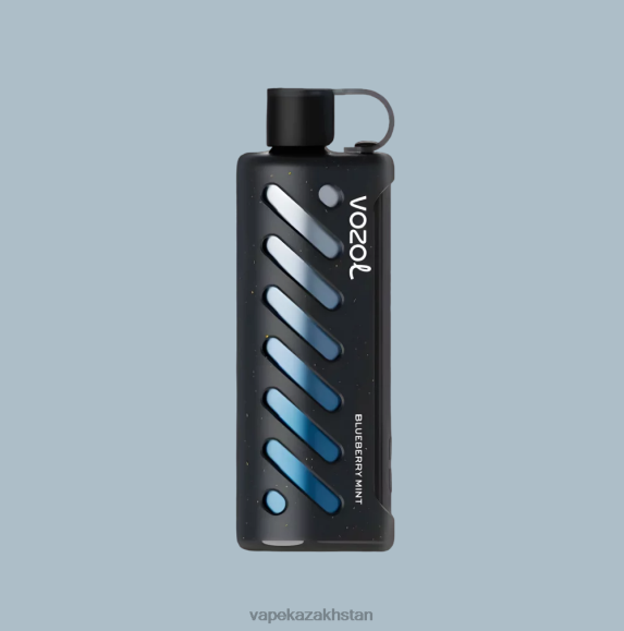 Vape Kazakhstan Z6D2L1 VOZOL Gear Shisha 25000
