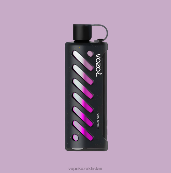Vape Kazakhstan Z6D2L1 VOZOL Gear Shisha 25000