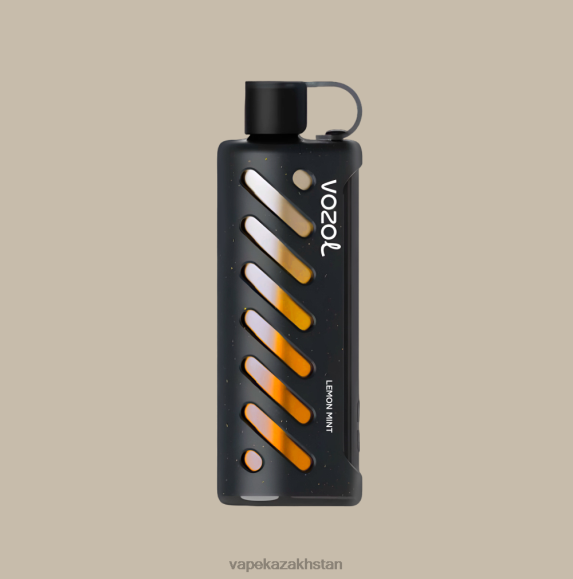 Vape Kazakhstan Z6D2L1 VOZOL Gear Shisha 25000