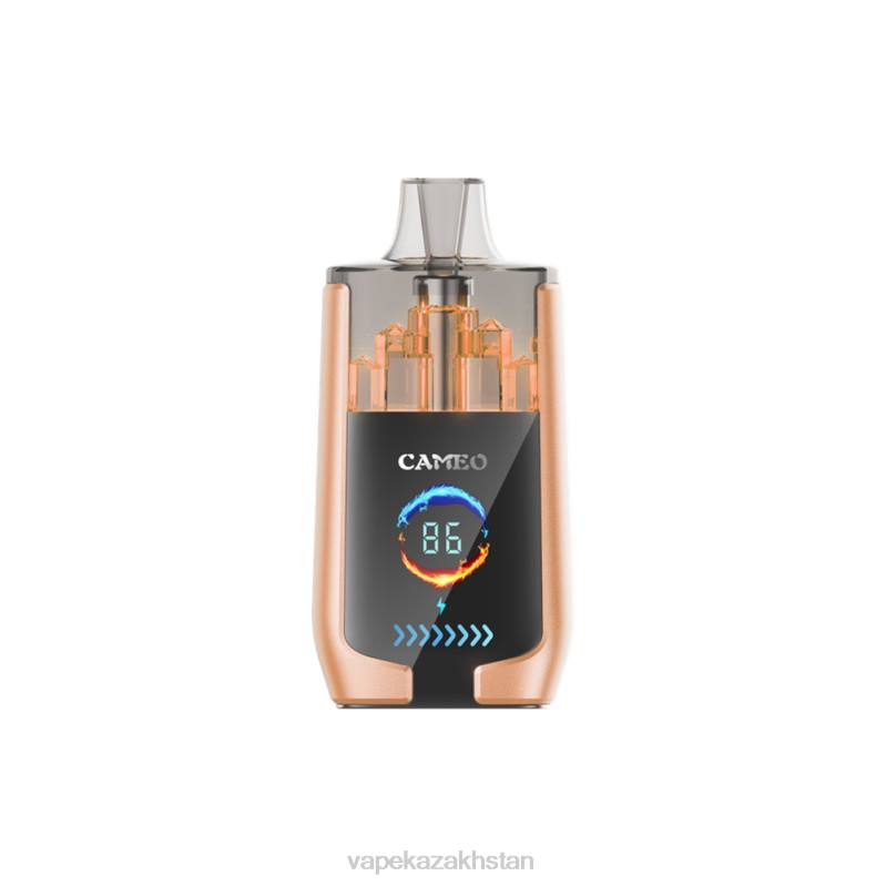 Vape Smoke B2TP22 LAVIE CAMEO 30000 Puffs Cherry