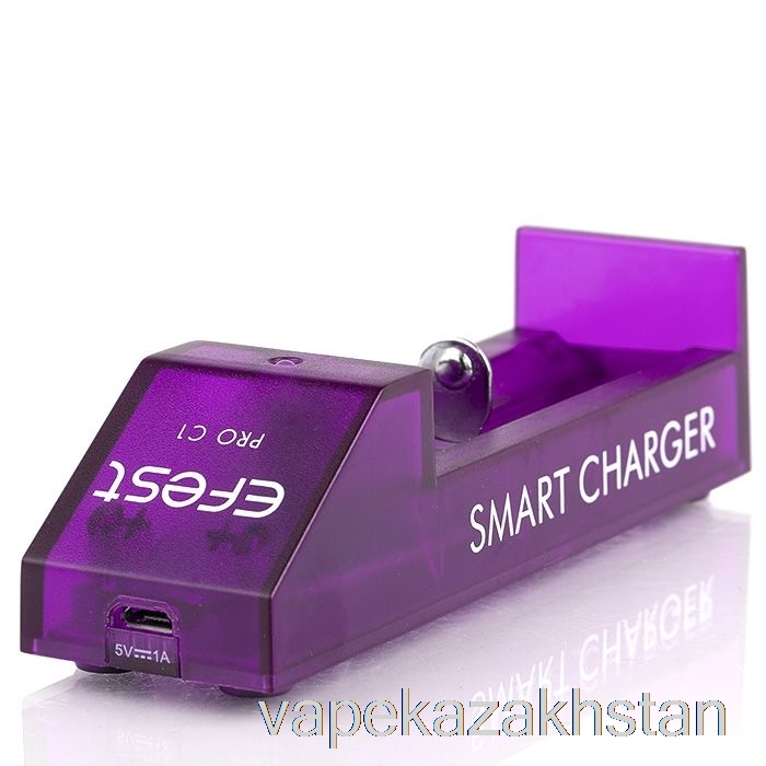 Vape Kazakhstan Efest PRO C1 1-Bay Smart Battery Charger