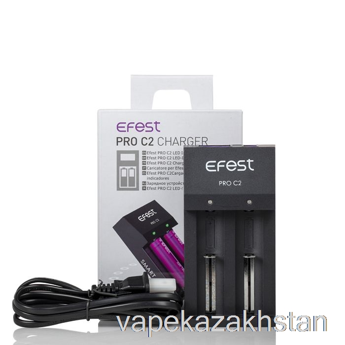Vape Kazakhstan Efest PRO C2 2-Bay Smart Battery Charger